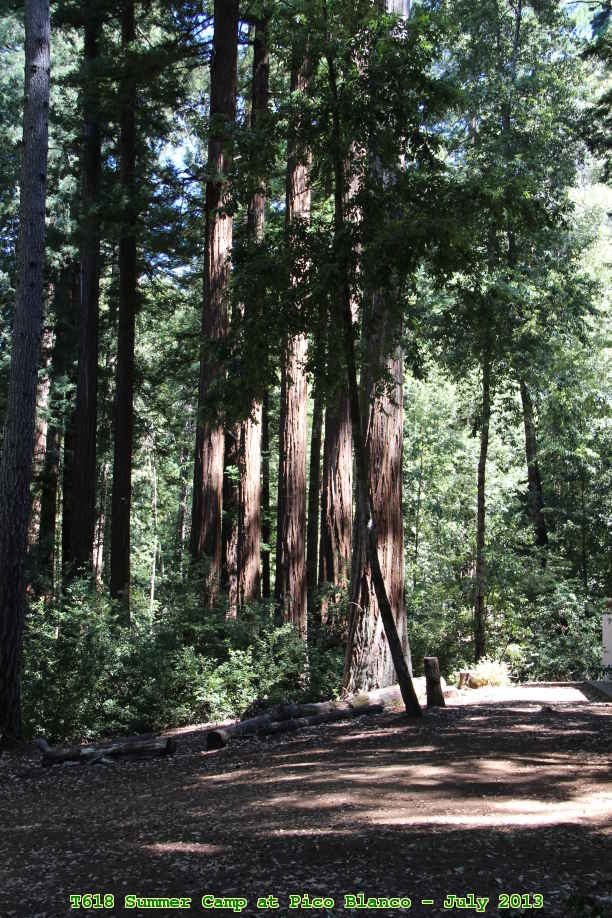 Picture 0017