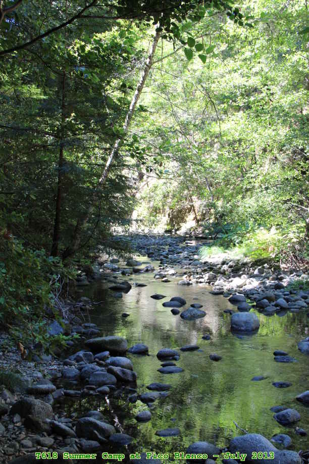 Picture 0019