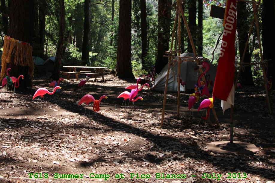 Picture 0026