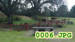 Picture 0006