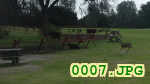 Picture 0007