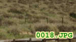 Picture 0018