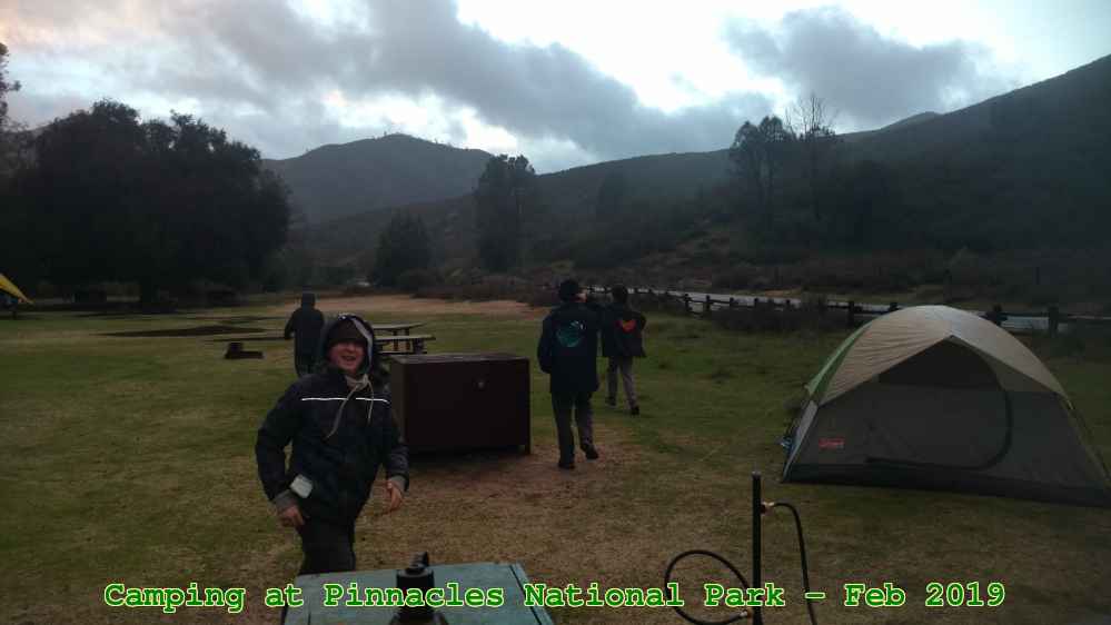 Picture 0005