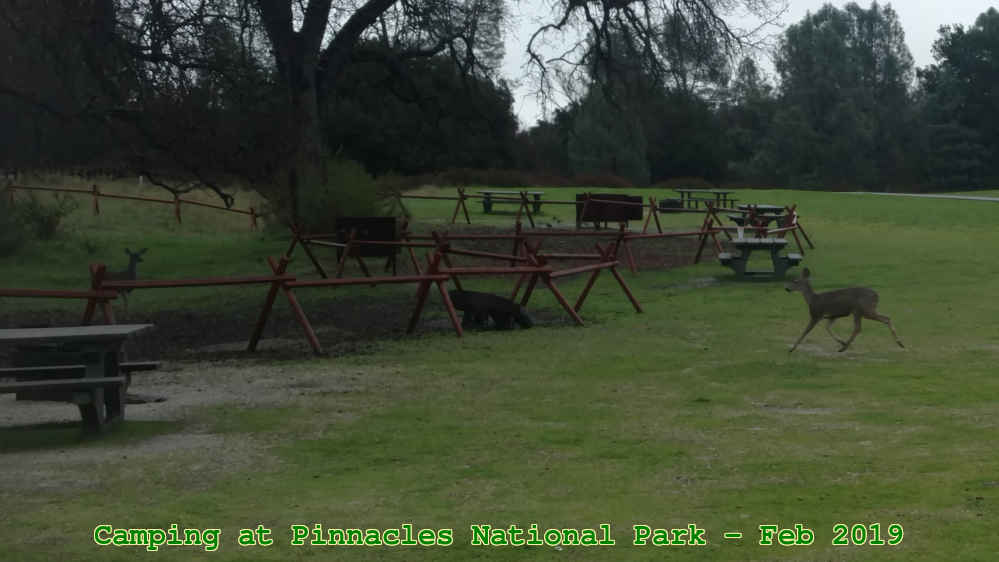 Picture 0007