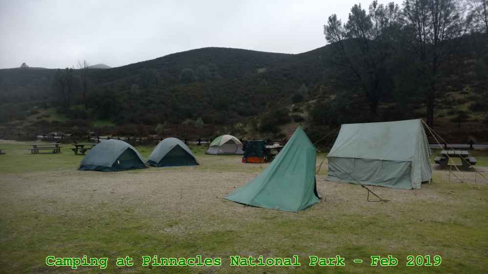 Picture 0008