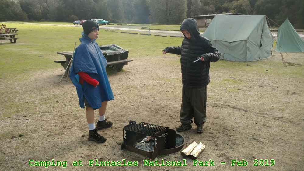 Picture 0011