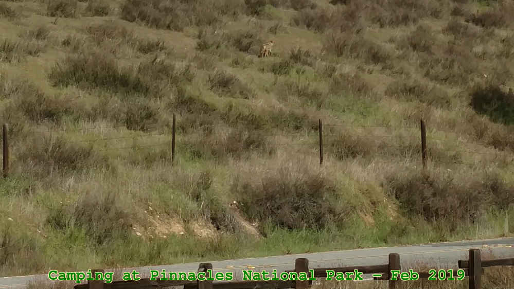 Picture 0018