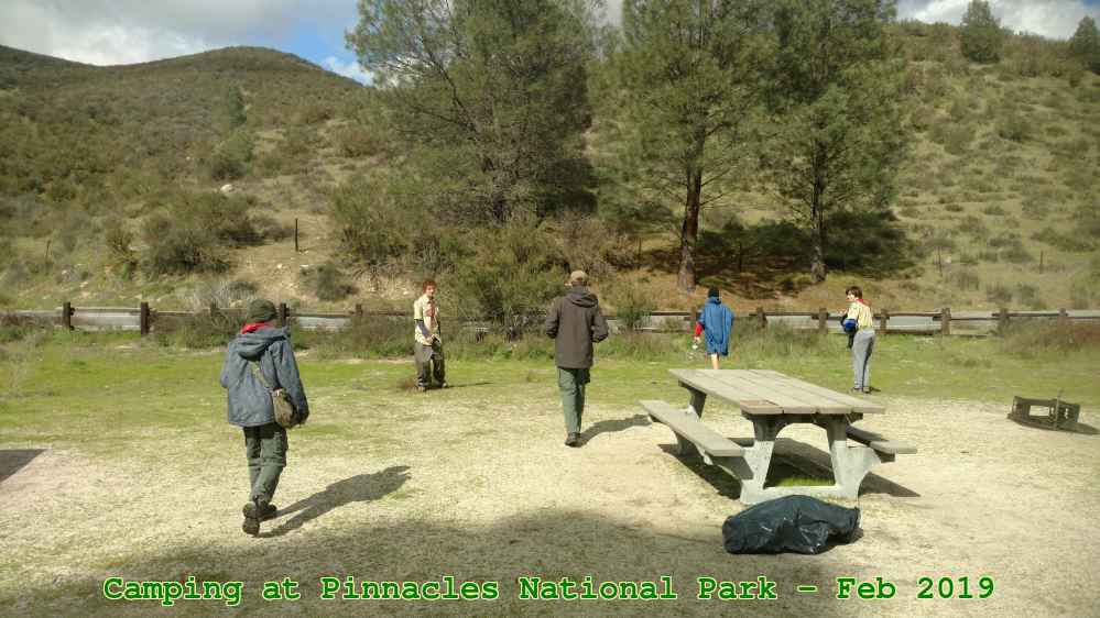 Picture 0021