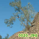 Picture 0020