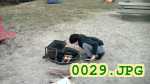 Picture 0029