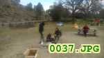 Picture 0037