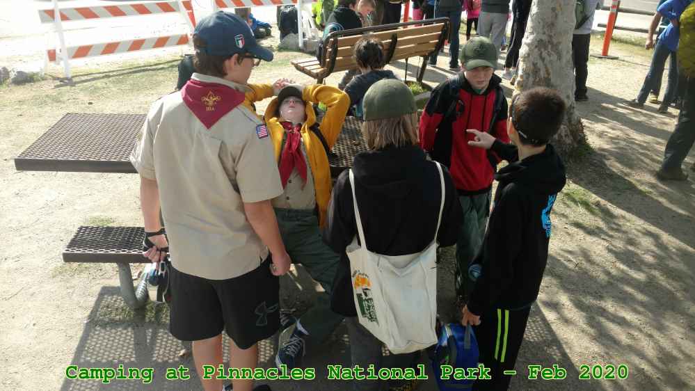 Picture 0002