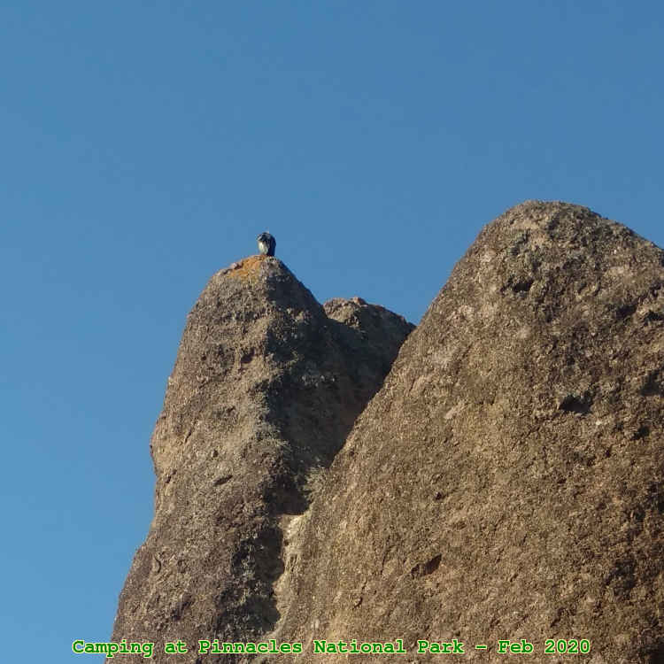 Picture 0018