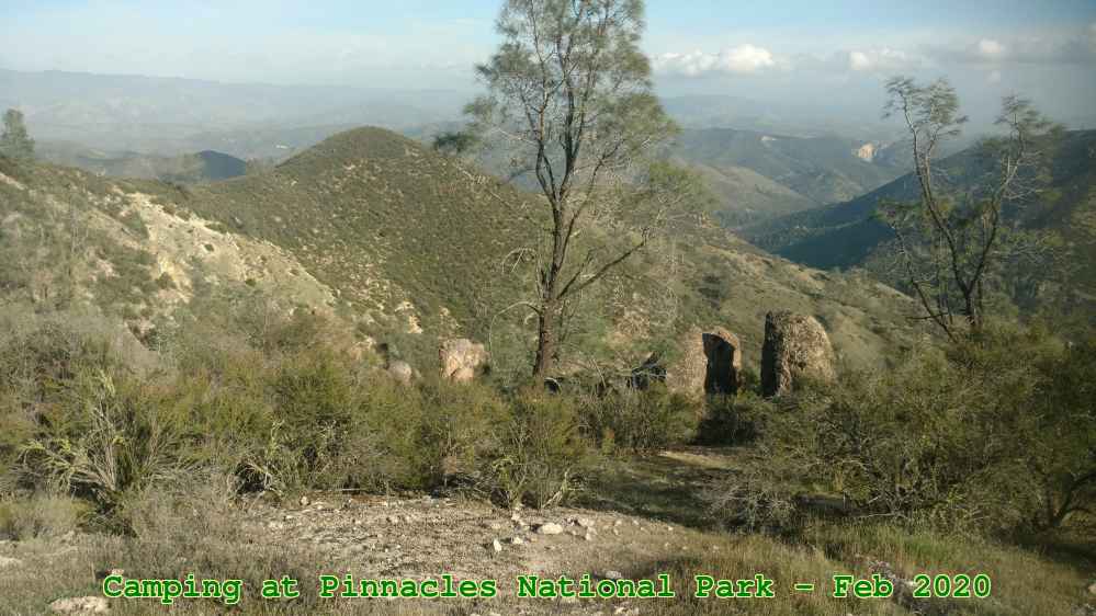 Picture 0021