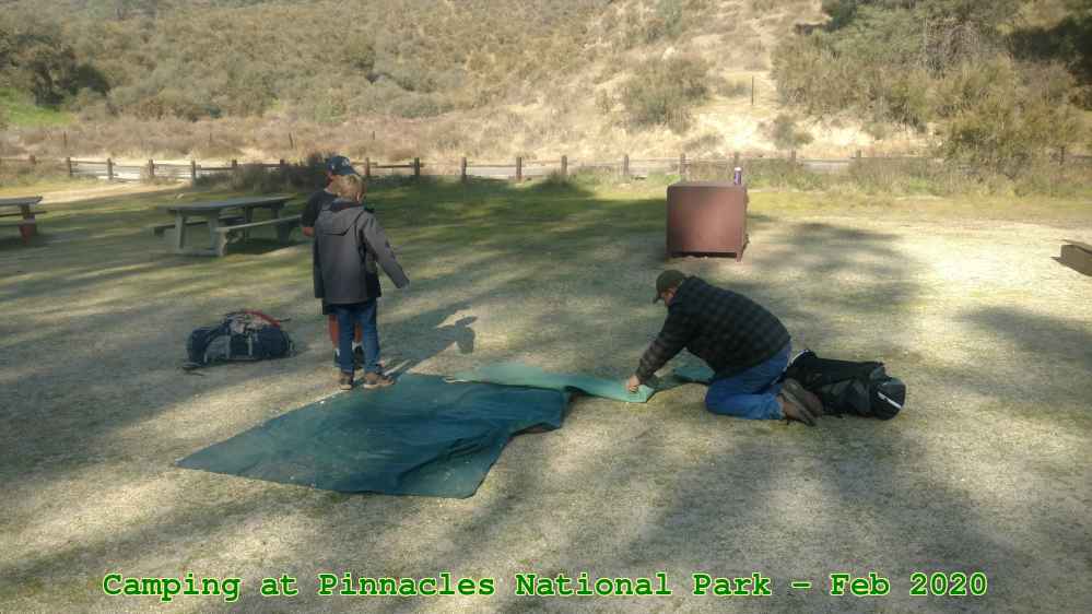 Picture 0038