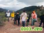 Picture 0003