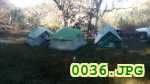 Picture 0036