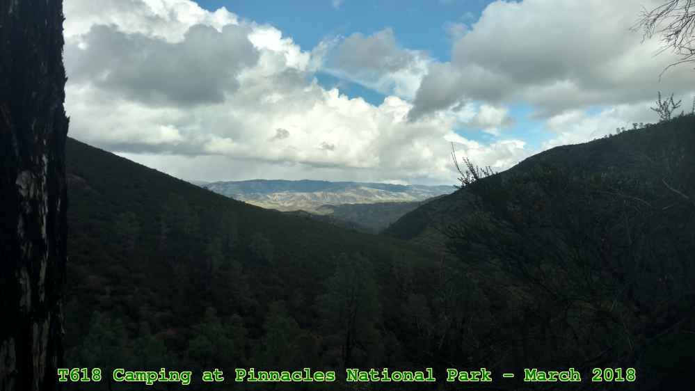 Picture 0019