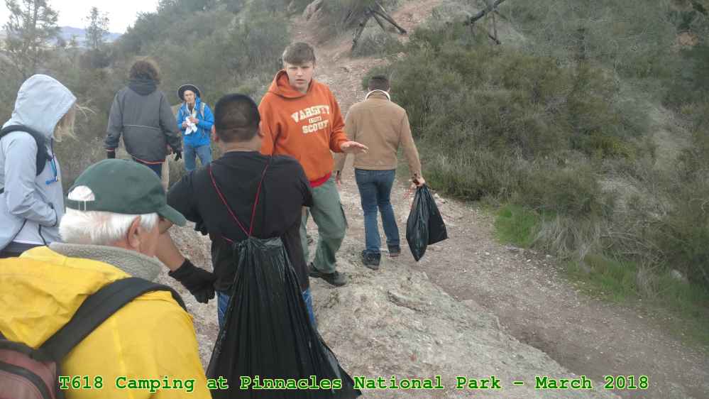 Picture 0021
