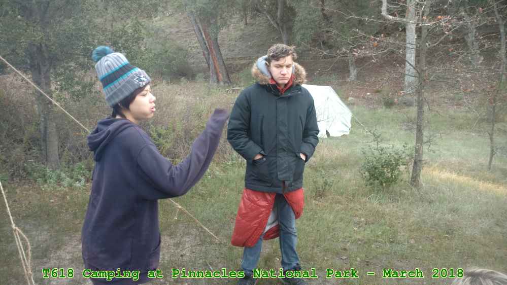 Picture 0031