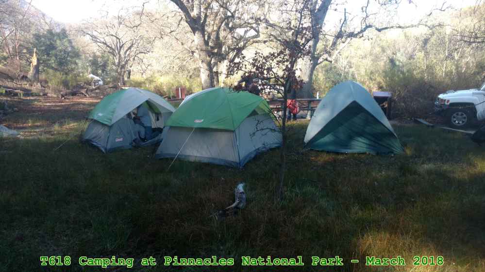 Picture 0036