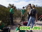 Picture 0004