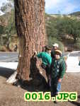 Picture 0016