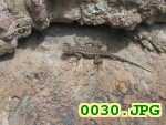 Picture 0030
