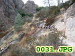 Picture 0031