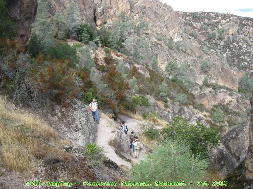Picture 0033