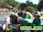 Picture 0009