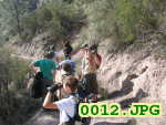 Picture 0012