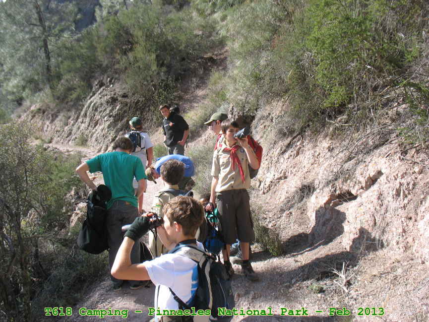 Picture 0012