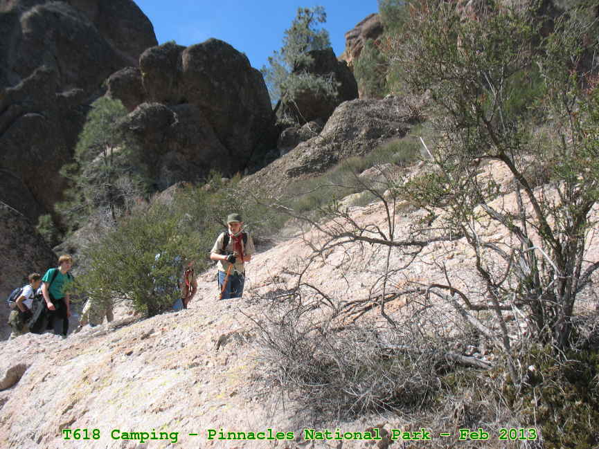Picture 0014