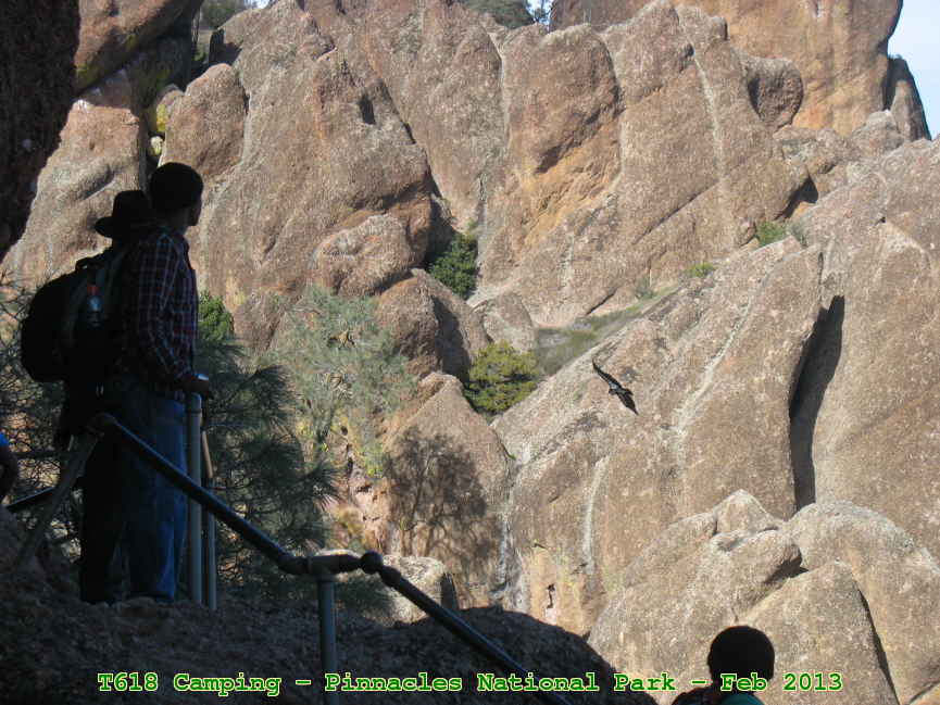 Picture 0025