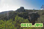 Picture 0010