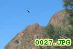 Picture 0027