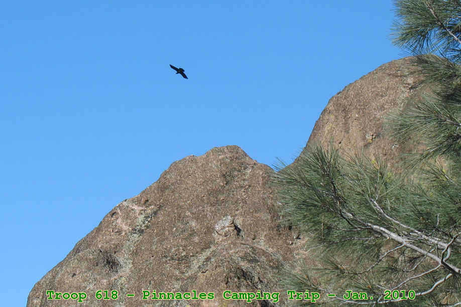 Picture 0027