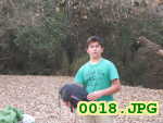 Picture 0018