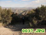 Picture 0037