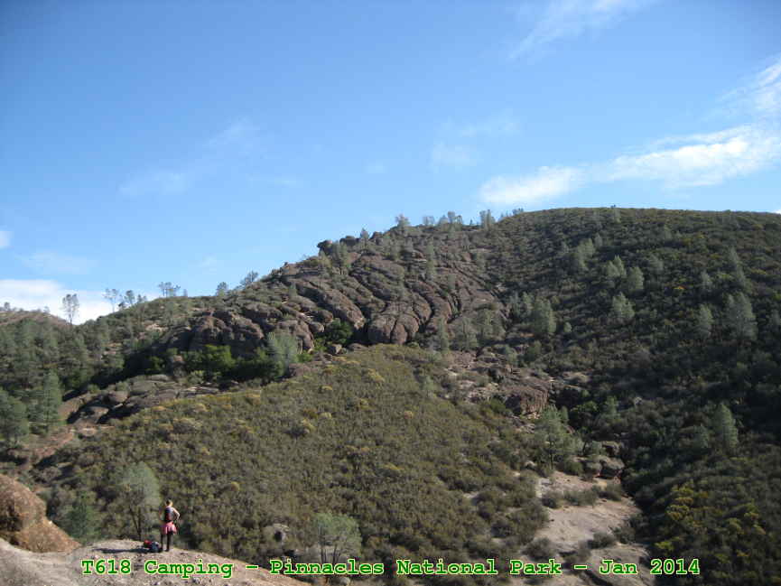 Picture 0006