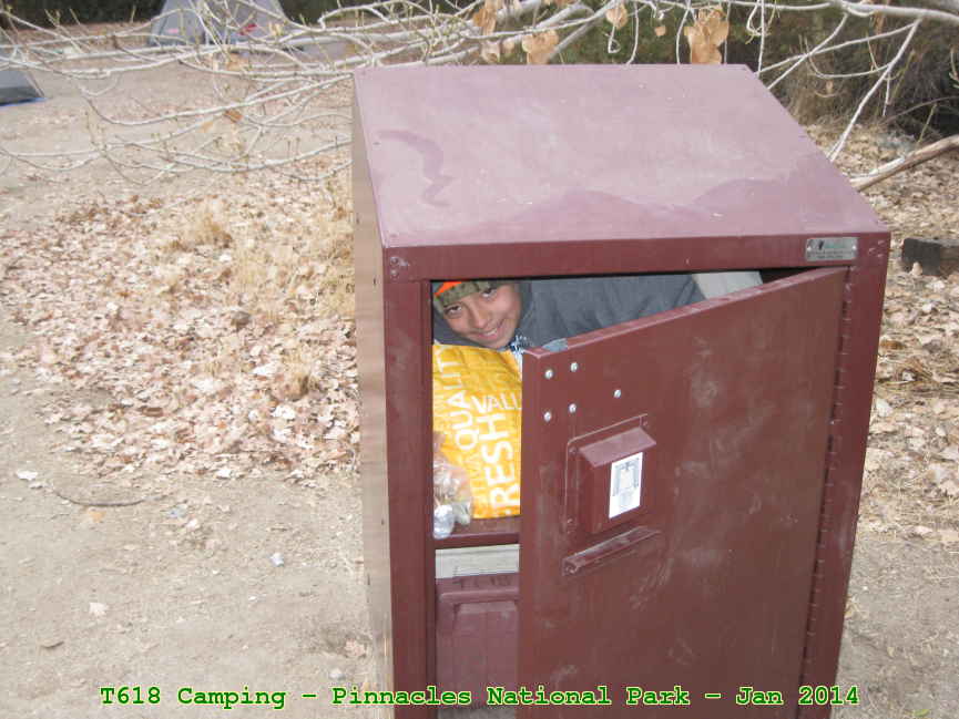 Picture 0016