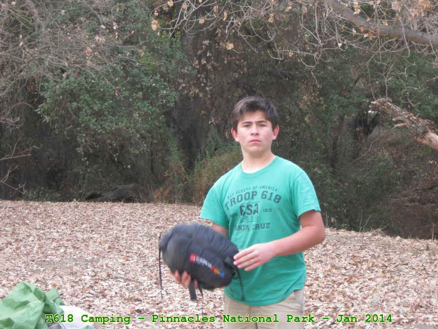 Picture 0018