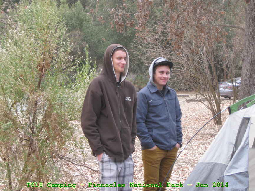 Picture 0019