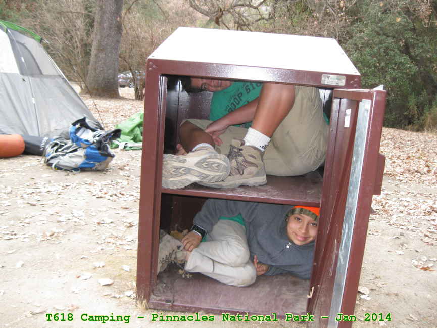 Picture 0020