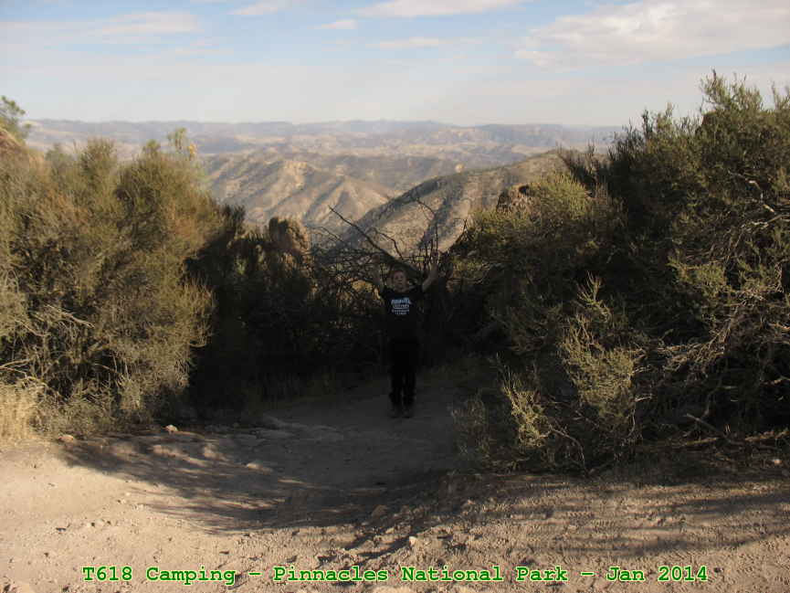 Picture 0037