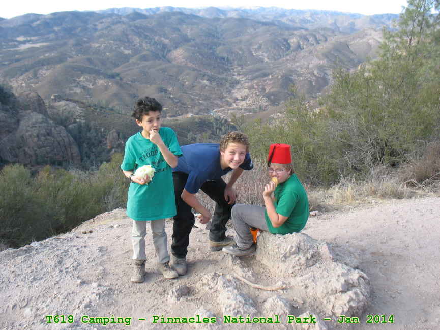 Picture 0039