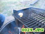 Picture 0029