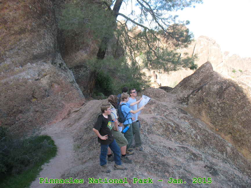 Picture 0008
