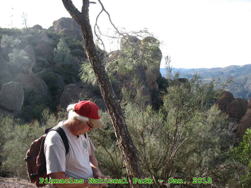 Picture 0011